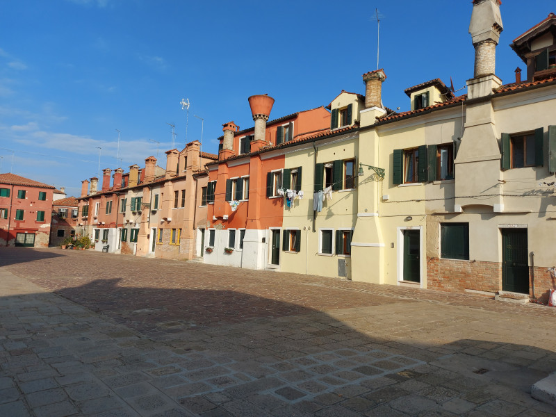 A tree with the night sky in the background